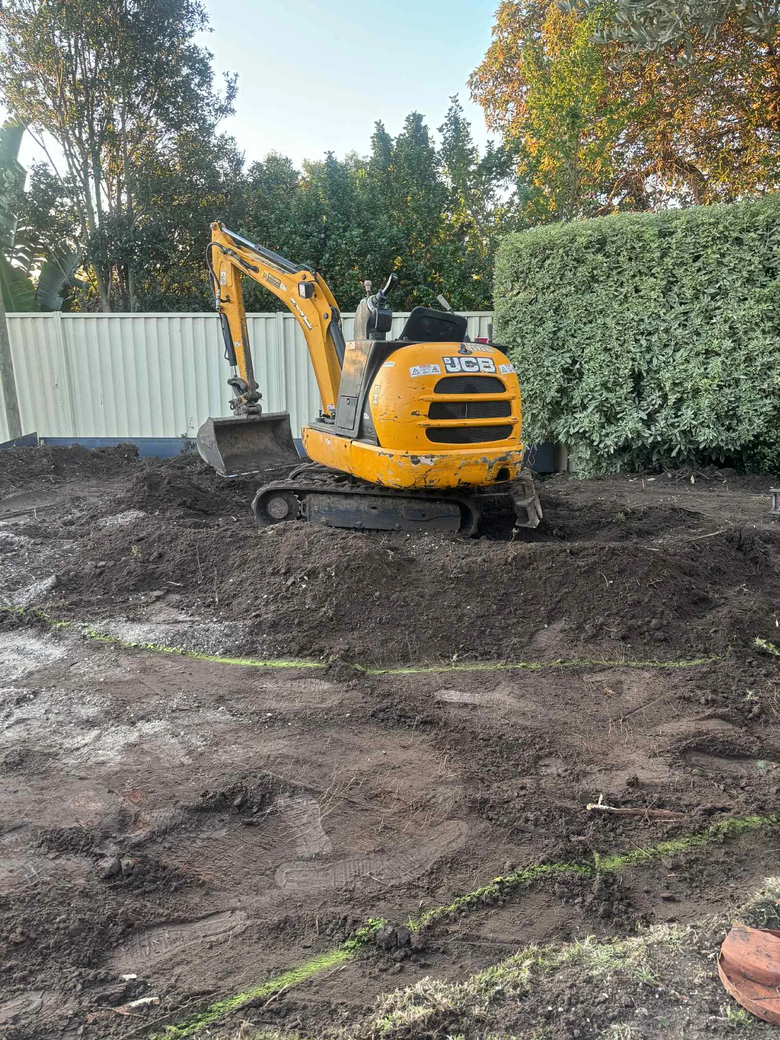 Mini excavator working a pile of topsoil during backyard earthmoving, beside a clipped hedge