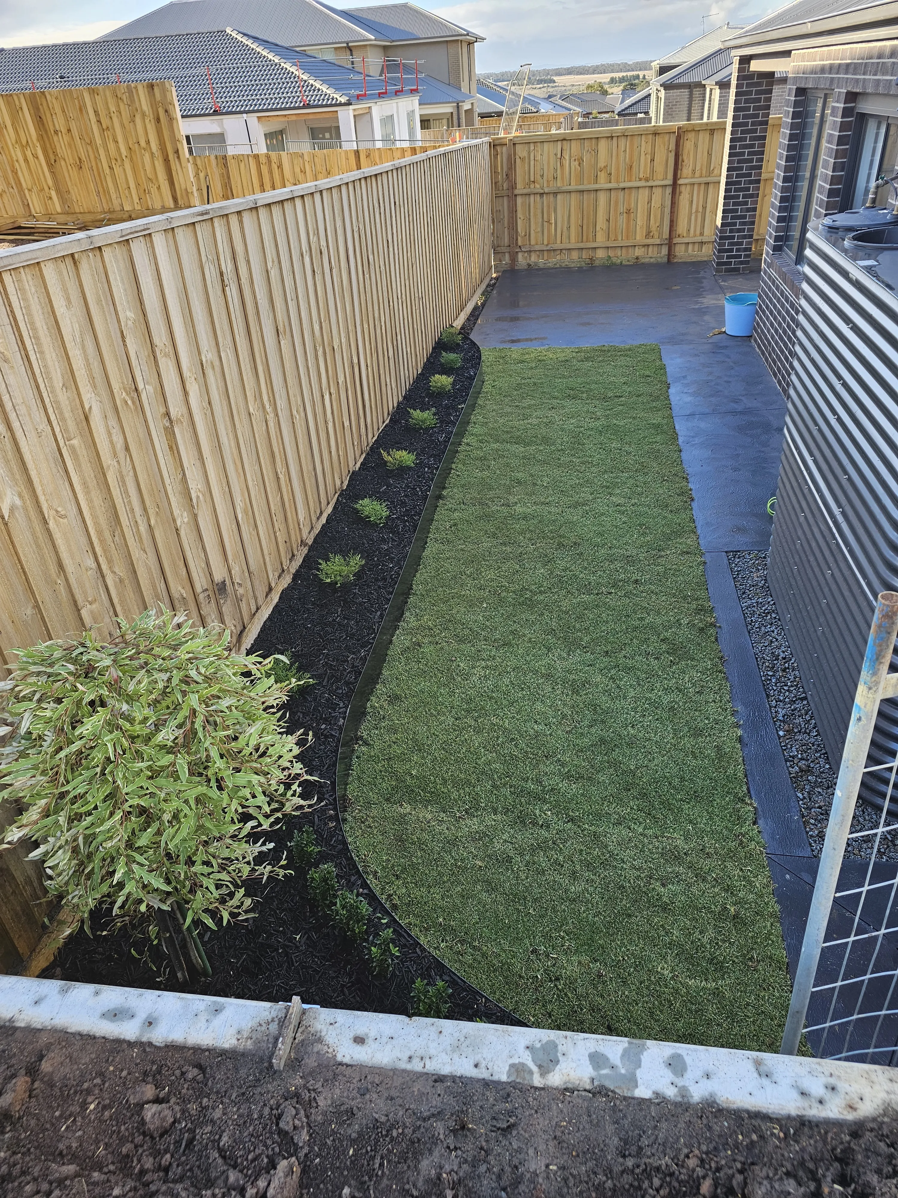New timber paling fence along a side yard with fresh turf, black mulch beds and steel garden edging